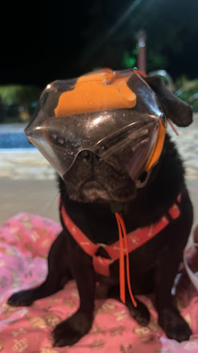 Photo from customer review