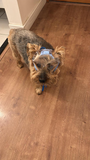Photo from customer review