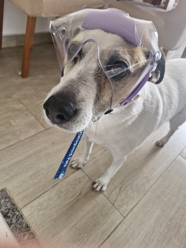 Photo from customer review
